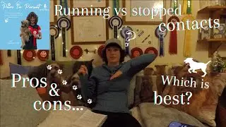 The Paws In Pursuit Podcast - Contacts - To Run or Not to Run?