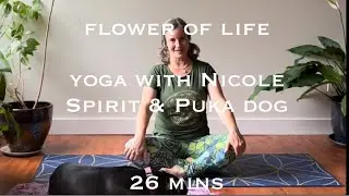 Flower of Life ~*~ Yoga with Nicole Spirit & Puka Dog | 27 mins