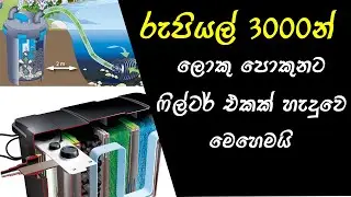 Low Budget DIY Water Filter For Fish Pond.... FishFix SriLanka