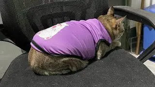 Trời lạnh rồi mặc &aacute;o cho tụi nhỏ