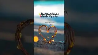 Eid To Eid Hai ❣️ Eid Poetry || Whatsapp Status #status #eidpoetry #shorts