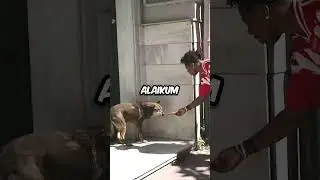 Ishowspeed helps a dog in Turkey #ishowspeed #turkey #viral #fyp #wholesome