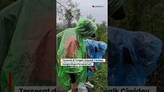 Tersesat di Tengah Teawalk Ciwidey, Google Maps Penyelamat! #teawalk #tersesatdihutan #tersesat