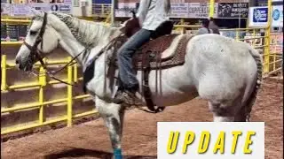 Jheart horse’s living their best lives 