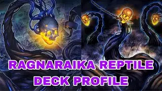 RAGNARAIKA / RAIKA Reptile Deck Profile + ERKLÄRUNG ￼