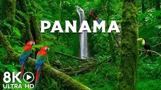 Panama 8K UHD - Relaxing Music Along With Beautiful Nature Videos - 8K ULTRA HD