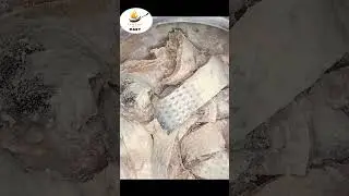 مچھلی دھونے کا صحیح طریقہ | Fish Washing In Urdu | Best Fish Washing Formula In Urdu | Fish Cleaning