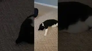 Ming and Jake.