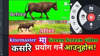 how to edit green screen in kinemaster 2021