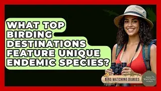 What Top Birding Destinations Feature Unique Endemic Species? - Bird Watching Diaries