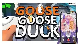 🔴Goose Goose Duck Collab w/ Friends! | !tts !disc !kofi【Vertical for Mobile】