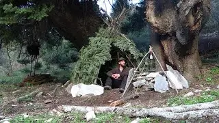 SOLO BUSHCRAFT I BUILD A PRIMITIVE SHELTER AND COOKED CHICKEN WITH RICE OVER THE OPEN FIRE
