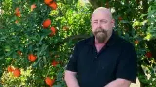 Help Save California Citrus