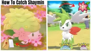 How To Catch Shaymin + Oak's Letter - Brilliant Diamond & Shining Pearl