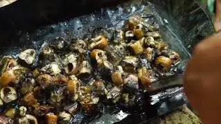 Awesome Cooking Eel Fried Recipe With Lemongrass and Chili - KH Daily