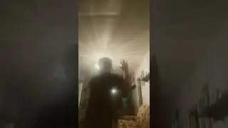 #gundershot