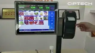 Balanza PC Aurora S1L RONGTA | CIPTECH