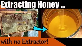 How to Extract Honey, with no Extractor!