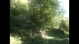 8. DAN: KOČEVSKA REKA - NAGELBIHEL - KOČEVJE