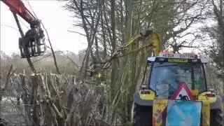 Sawing Hedges with Hitachi 360 and grab