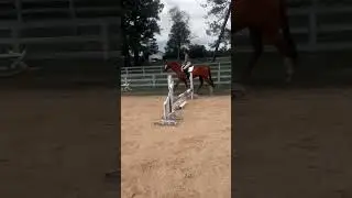 Chaaaa chaaa