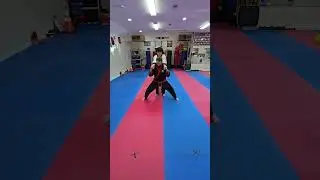 3rd gup brown belt, self defense, back bear, hug and back choke