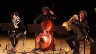 Ensemble Mikado - Pierre et le Loup