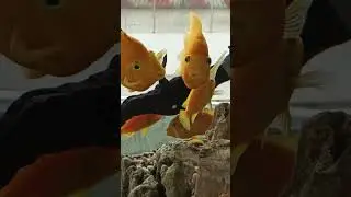 Красивые губки 👄