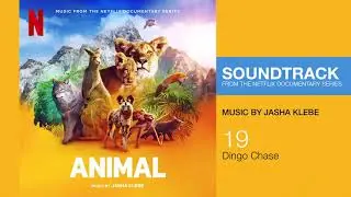 Netflix Animal: Dingo Chase (Music by Jasha Klebe)