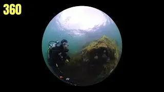 Safety Stop At Pulali Point 2 | Salish Sea Marine Wildlife | 360 Degree Video