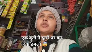 A dog attacked another dog 😨 | Today's Desi Vlog..