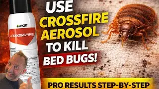 How to Use Crossfire Aerosol for Bed Bugs | PRO Results Without a Sprayer