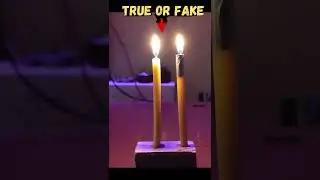 Can you spot it ? True or Fake ? ep.1