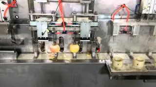 Apple peeling and core-remove machine