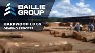 Hardwood Log Grading