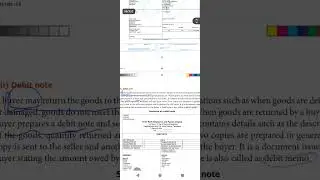 Source document ( include  voucher,invoice etc)