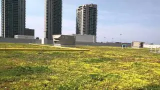 Sherway Gardens Shopping Centre Expansion - Project of the Week 11/16/15