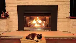Cat Sleeping in front of a Gas Fireplace - 3 Hours - LHP