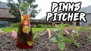 PIMMS PITCHER