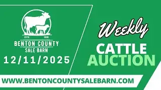 12/11/2025 - Cattle Auction - Benton County Sale Barn