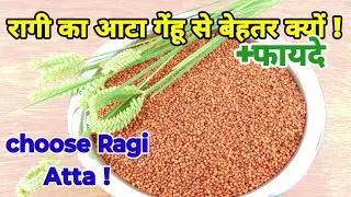 Ragi flour benefits | ragi flour benefits | #ragi #drshabanafaridi
