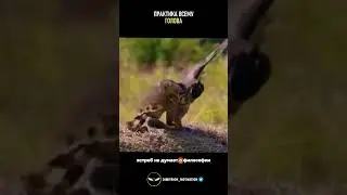 Практика всему голова #совет