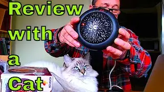 Review with a Cat: 