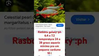Rasbora galaxy tudo sobre