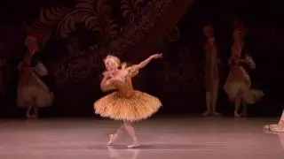 The Australian Ballet's Principal Artist Robyn Hendricks