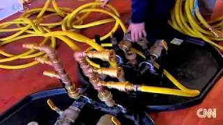 Bedbugs Heat Treatment Monitoring