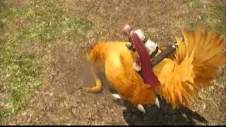 Final Fantasy XIII - Easy Quick Gil - Chocobo Treasure Hunting Route