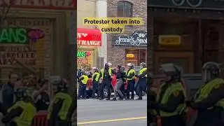 Anti-ICE Protestor taken into custody