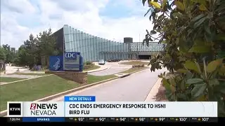 CDC ends response to bird flu