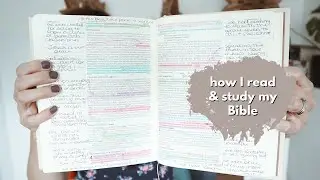 how I READ & STUDY MY BIBLE plus my favorite Bibles and tools